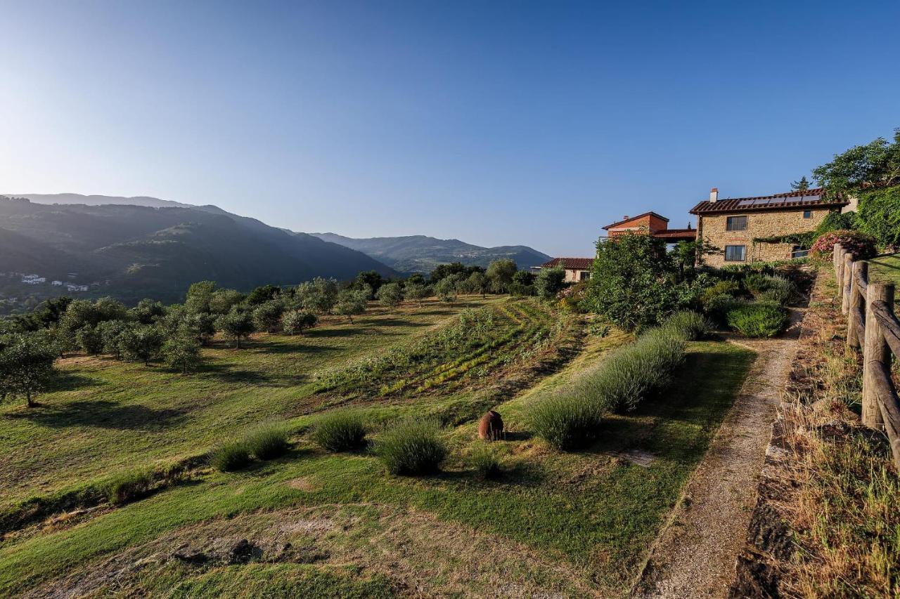 Agriturismo La Fontaccia Villa Rufina Exterior photo