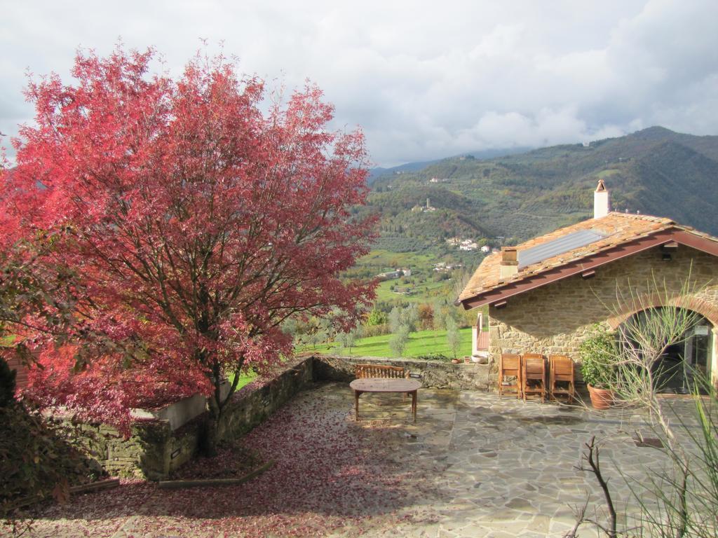 Agriturismo La Fontaccia Villa Rufina Exterior photo