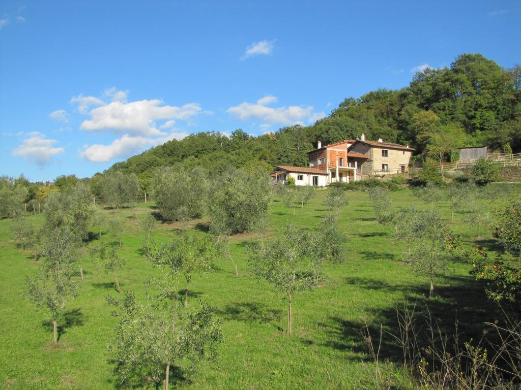 Agriturismo La Fontaccia Villa Rufina Exterior photo