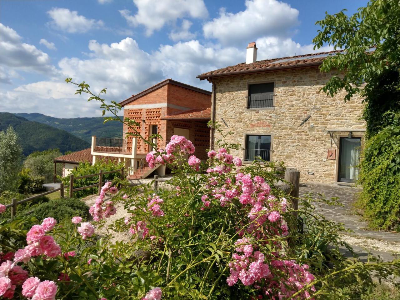 Agriturismo La Fontaccia Villa Rufina Exterior photo